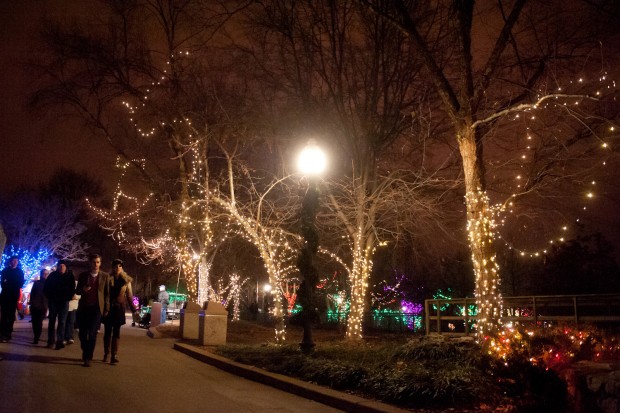 Wild Lights at the St. Louis Zoo : Gallery