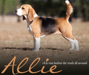 Allie of Belleville