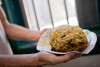 Editorial notebook: Nutriloaf and the Constitution, a story of hope