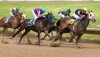Betting on Derby Day