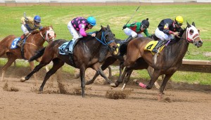 Betting on Derby Day