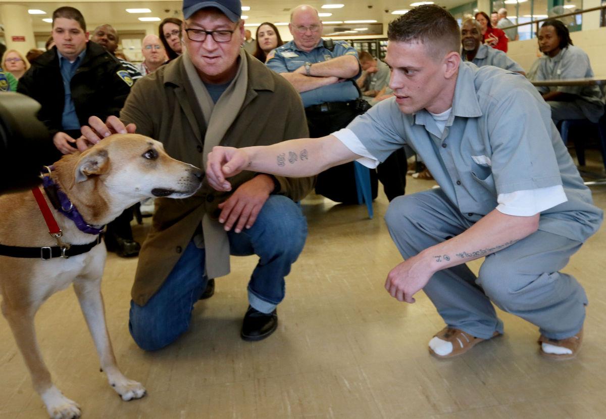 puppies for parole stray rescue sends dogs to pacific prison to learn obedience socialization from puppies for parole stray rescue sends dogs to pacific prison to learn obedience socialization from