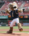 New St. Louis Rams mascot throws out the first pitch at the Cardinals game