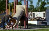 The Good Friday tornado: moving on one year later