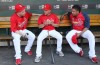 Cardinals vs Astros
