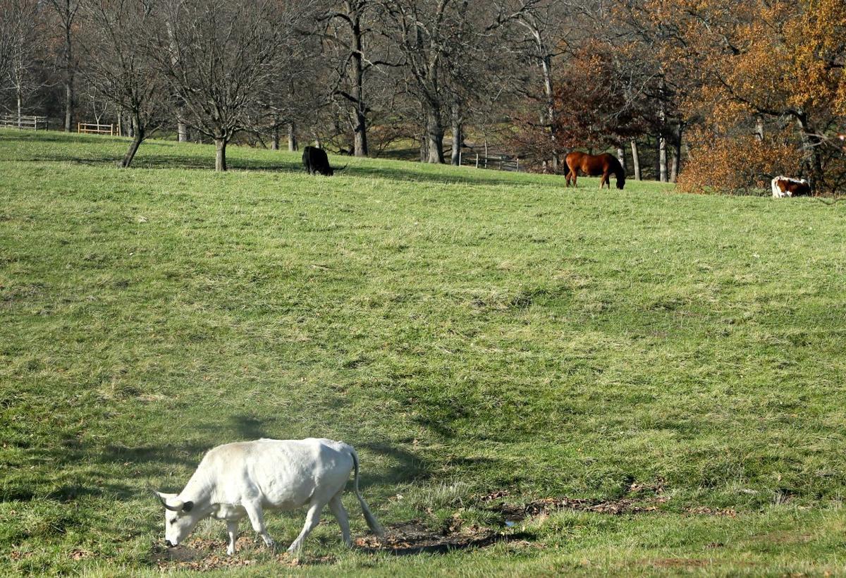 Take a look at the history of Grant's Farm Entertainment