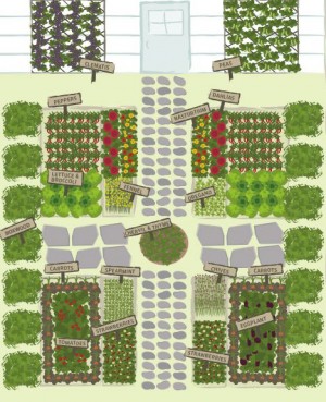 potager
