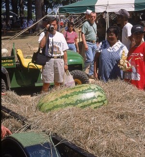 Local foods inspire festivals across the country  