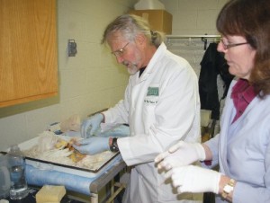 Research at SIUC targets ovarian cancer