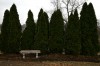 Cremated remains of medical research bodies buried in St. Louis