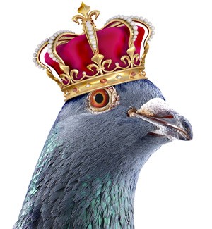 Who ruled the roost this summer?