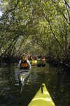 Kayaking in Florida