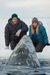 Film Title: Big Miracle