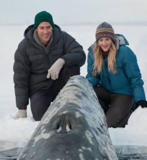 Film Title: Big Miracle