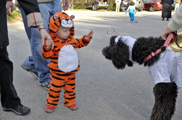 Trunk or treat at Frontenac church
