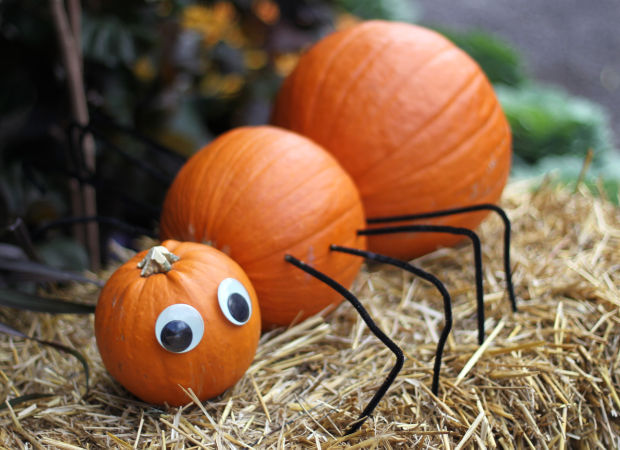 11 nocarve options for your JackOLanterns Home and