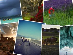 All entries, 2014 travel photo contest