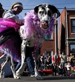 Why wait for Feb. 18? Mardi Gras good times are rolling now