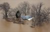 Surging Meramec River swamps flood records and major highways