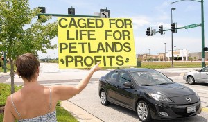 Group protests in Lake Saint Louis for pets' welfare