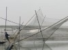 On boats, nets, and not hiding from the world