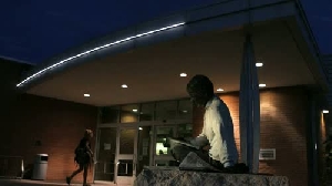 Julie Wier St. Louis' very own living statue