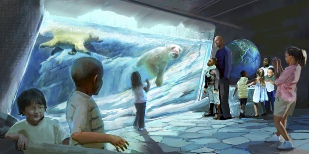 Rep. Clay, St. Louis Zoo working to allow imports of polar bears | Political Fix | 0