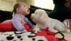 Ask Dr. Mom: How to help your child overcome a fear of dogs 
