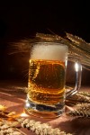 Wheat beer