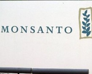 Biotech crops make gains among U.S. farmers  
