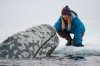 Film Title: Big Miracle