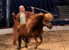 Circus Flora takes 'A Trip to the Moon'