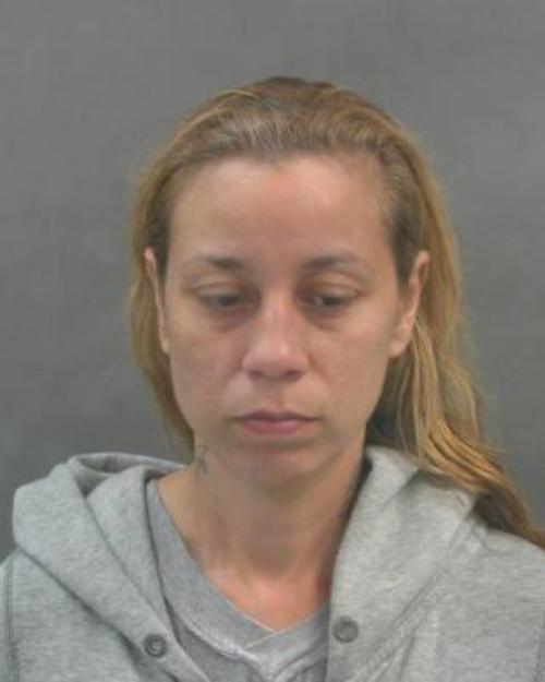 St. Louis woman charged in burned dog case had posted on Facebook about killing dogs