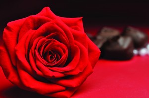 LW0129ROSES