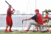 Cardinals Spring Training