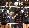 Breese Central 2