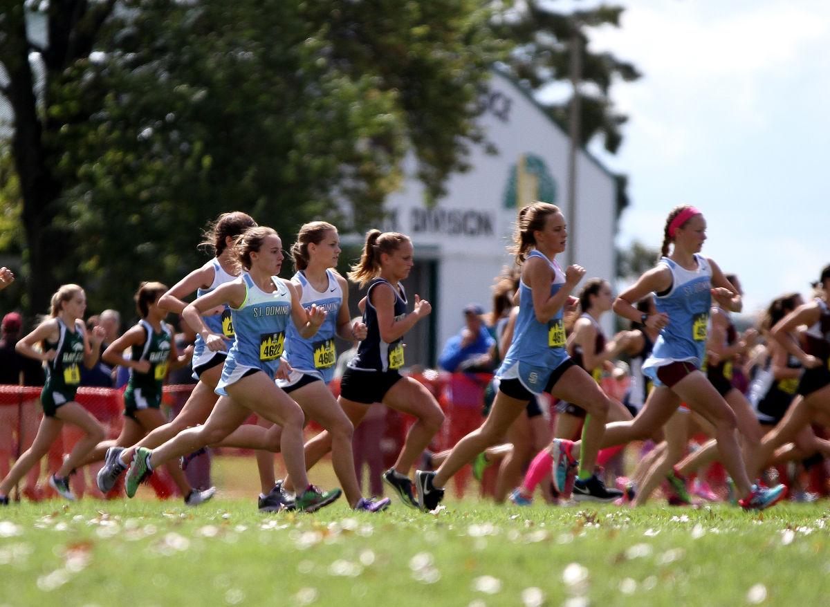 Forest Park XC Festival is bigger than ever in year 11 Boys Cross Forest Park XC Festival is bigger than ever in year 11 Boys Cross