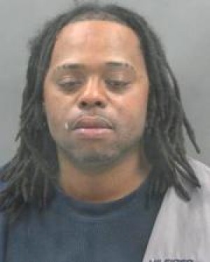 Danielle Johnson mugshot