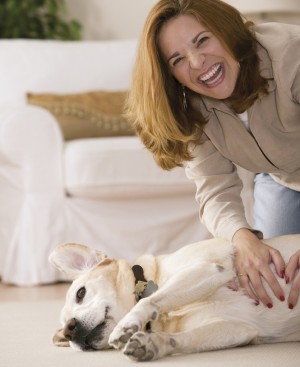 LW0129pets