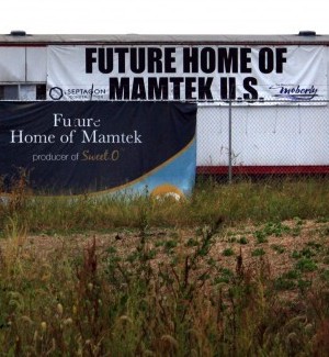 Mamtek