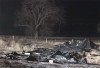 Plane Crash