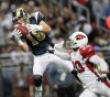 Danny Amendola catches a pass against the Arizona Cardinals.