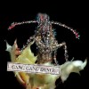 Out this week: Cars, Matthew Morrison, Gang Gang Dance 