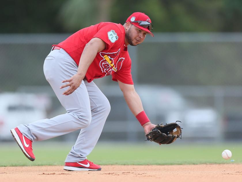 Cardinals notes: Peralta looks like starter at third base - STLtoday.com