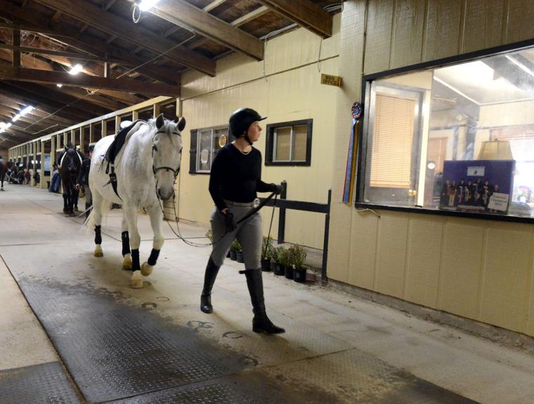 20 Most Amazing College Equestrian Centers Best Value Schools