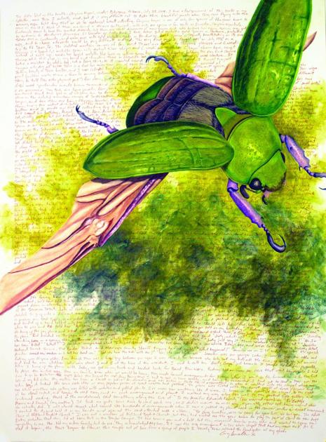 Insects to be featured at TC art exhibit