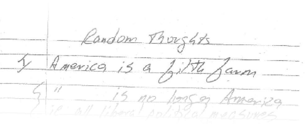 Cryptic phrases, 'Trainwreck' mentions, more revealed in Lafayette theater shooter's journal, motel photos _lowres