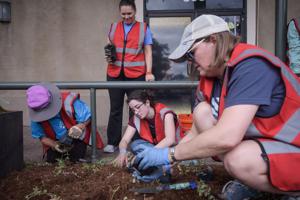 Downtown Lafayette gets a ferny facelift: Volunteers help plant 16,000 square feet along Jefferson