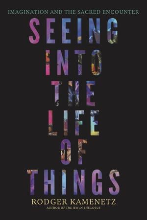 Author rodger Kamenetz finds inspiration in daily life and his spiritual journey in new book