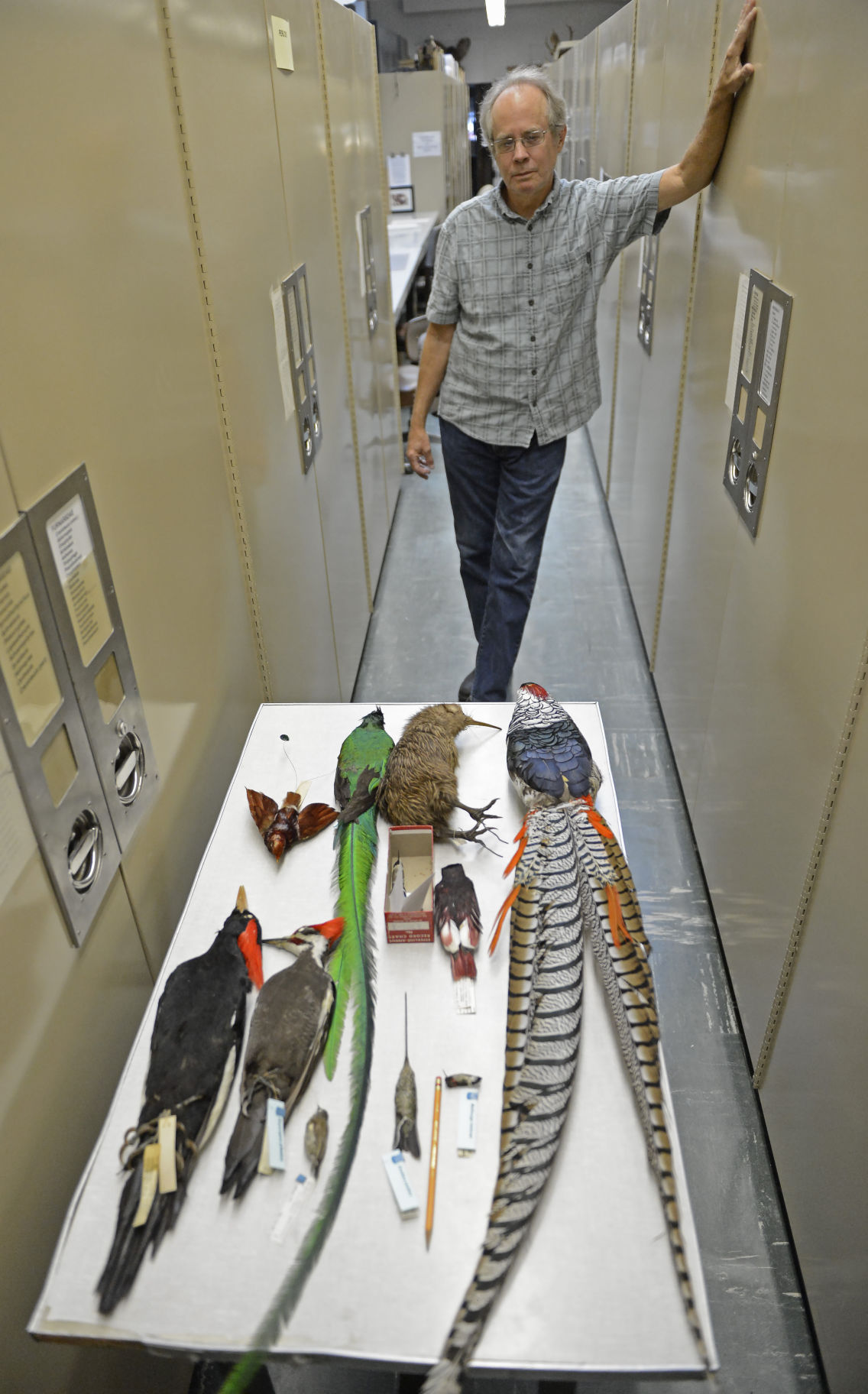 LSU Museum of Natural Science offers peek at behindthescenes research